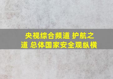 央视综合频道 护航之道 总体国家安全观纵横